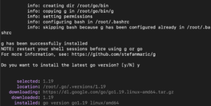 Import Packages in Go installing go 2