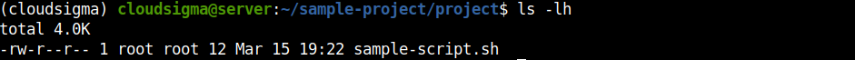 project directory