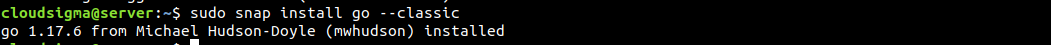 sudo snap install