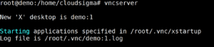 Start VNC Server