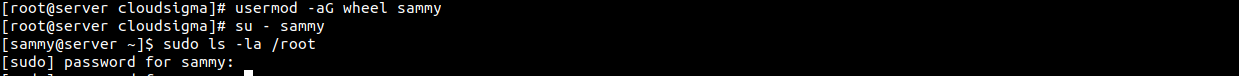 Sudo User image 2