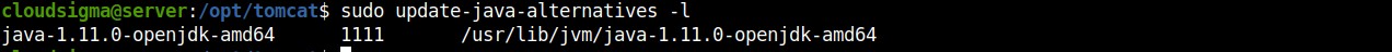 sudo update