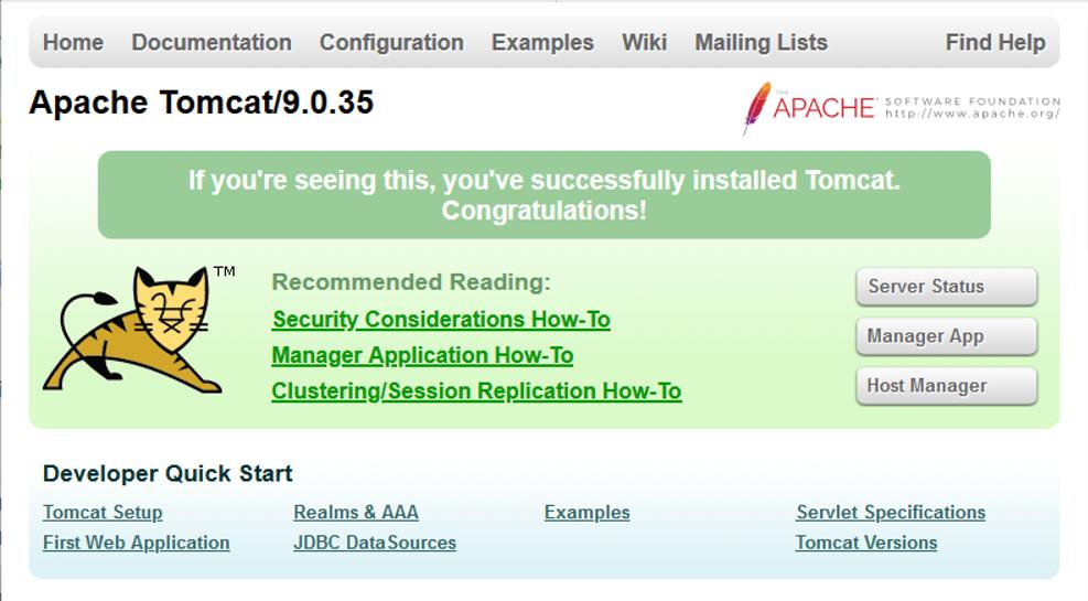Web Interface Access