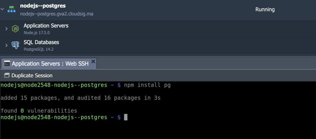 Node.js Application 3
