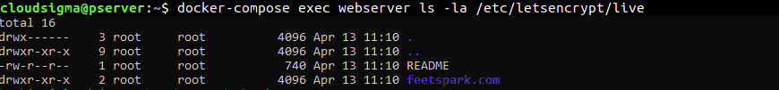 registered domain