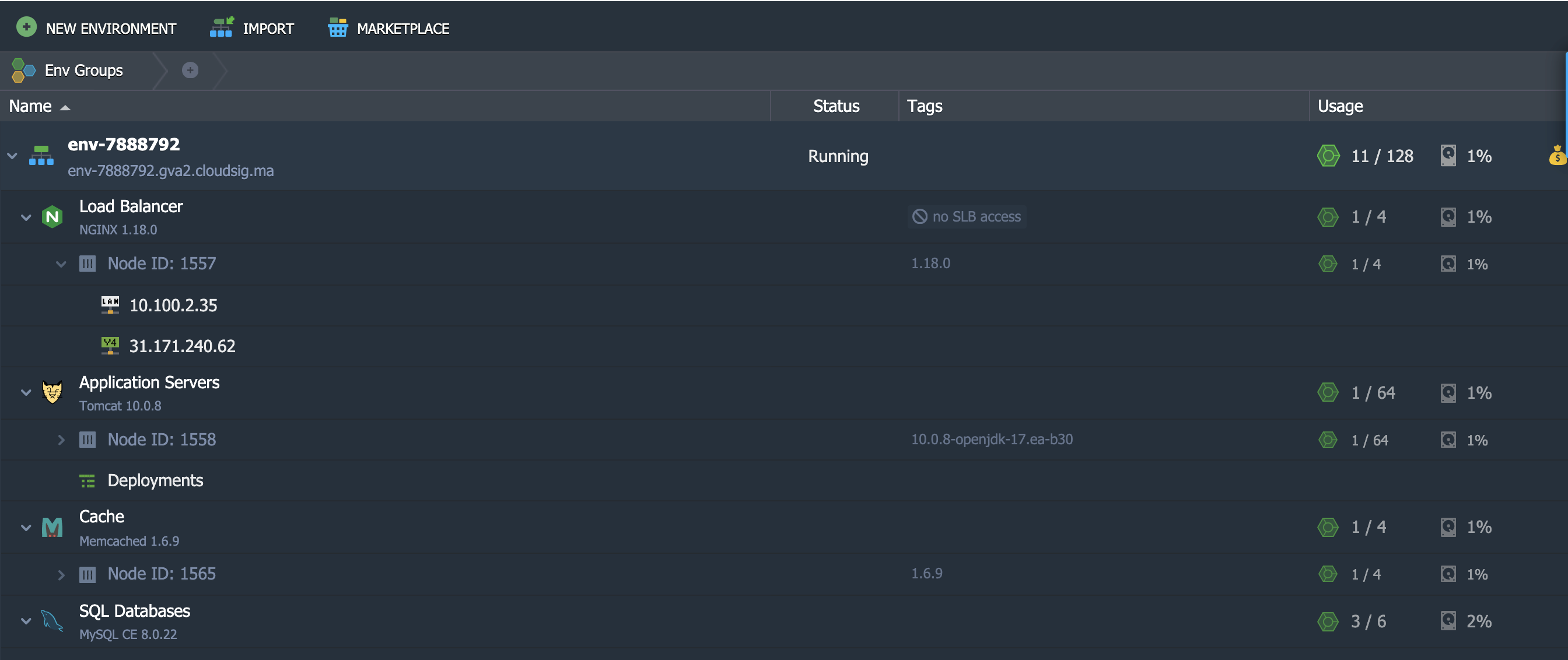 PaaS Dashboard new envrionment 1