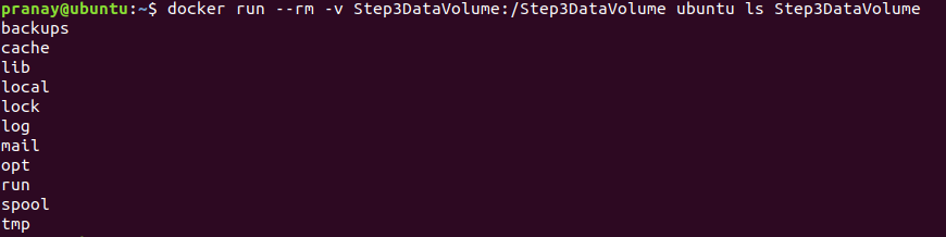 Copy Docker Volume