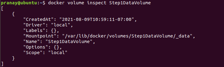 Docker Volume Inspect
