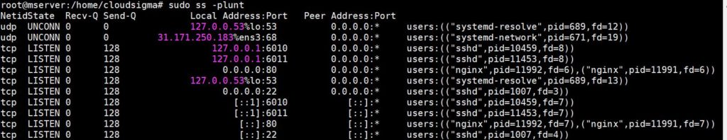 Performing Services Audits screenshot