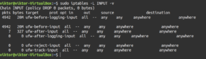 package and byte counters iptables
