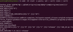 lists all environmental and shell commands Environmental and Shell Variables