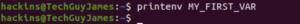 printenv variable