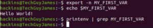echo vs prinenv command