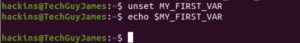 unset variable Environmental and Shell Variables
