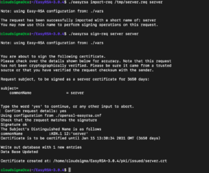  OpenVPN sign certificate for server