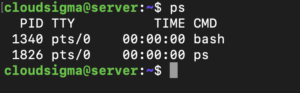 ps command output