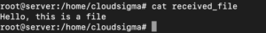 file transmission