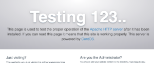 web server home page