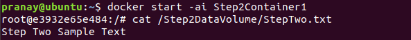 Docker Volume After Restart