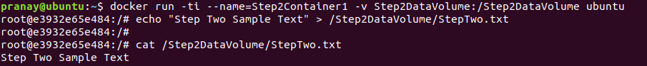 Persistent Docker Volume
