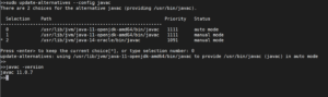 Change Default Version of javac