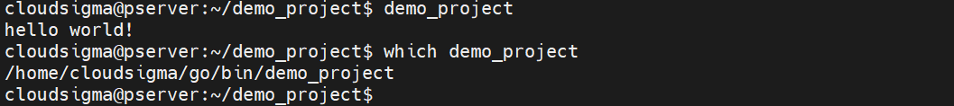 Go Programs check installation by running binary
