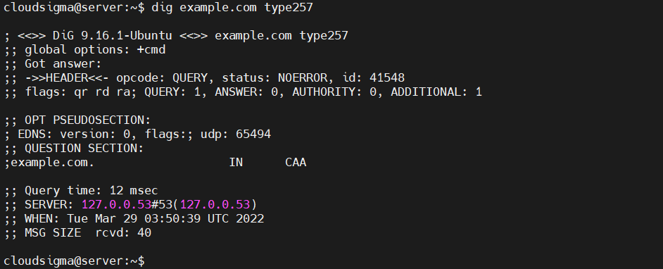 dig example.com