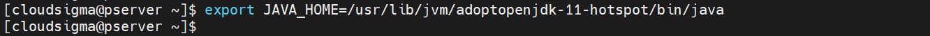 export JAVA_HOME