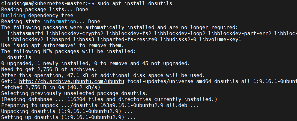 Kubernetes Networking install dnsutils