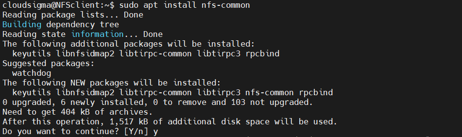 Install nfs common