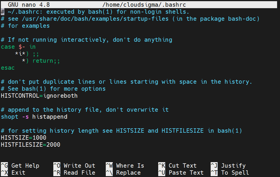 Go Programs nano bashrc