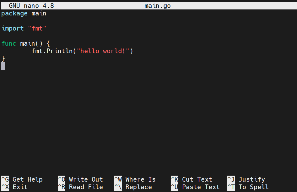 Go Programs nano main_go