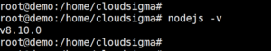 node js version check