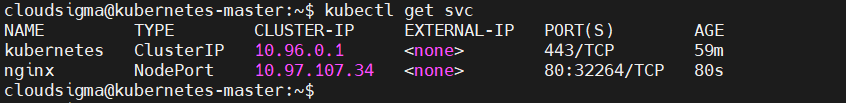 NodePort Svc Status
