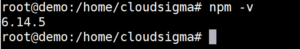 npm version check