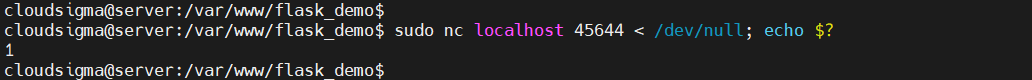 Flask application Port Check
