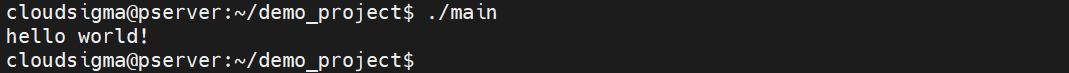 run main binary