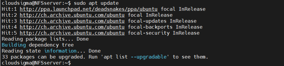 Server Apt Update