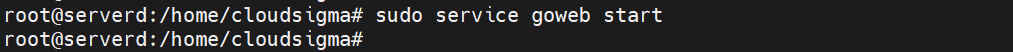 go web start