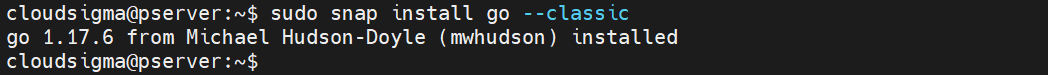 snap install go